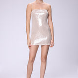 Shimmery Mini Dress