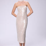 Shimmery Strapless Dress