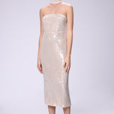 Shimmery Strapless Dress