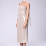 Shimmery Strapless Dress